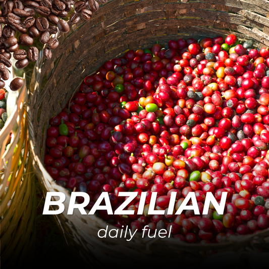 Zrnková Káva Brazilian Daily Fuel 100% Arabica